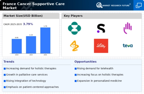 France Cancer Supportive Care Market Infographic