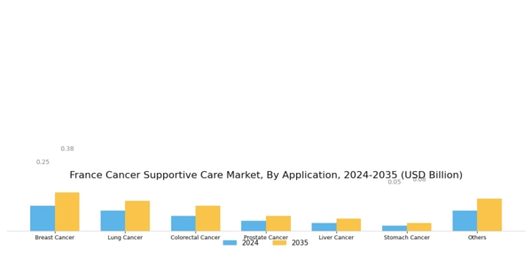 France Cancer Supportive Care Market Segment Image 1