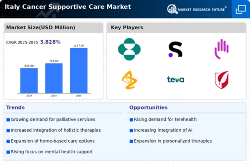 Italy Cancer Supportive Care Market Infographic