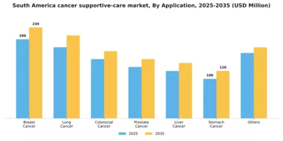 South America Cancer Supportive Care Market Segment Image 0