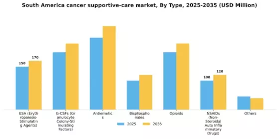 South America Cancer Supportive Care Market Segment Image 2