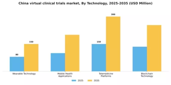 China Virtual Clinical Trials Market Segment Image 2