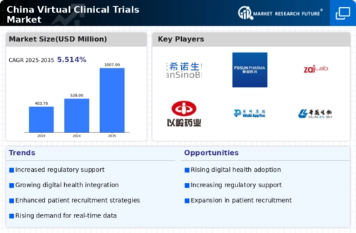 China Virtual Clinical Trials Market Infographic