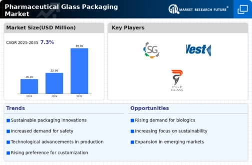 Pharmaceutical Glass Packaging Market Infographic