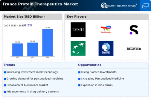 France Protein Therapeutics Market Infographic