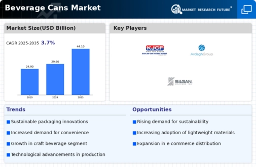 Beverage Cans Market Infographic
