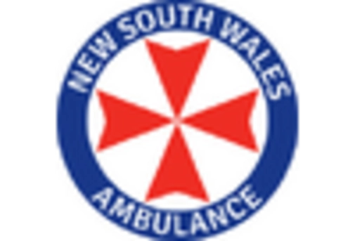 Japan Disposable Endoscope Market key player