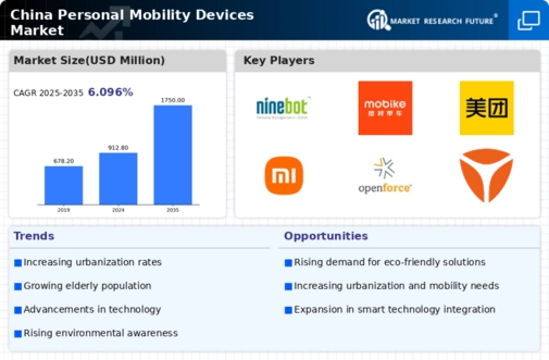 China Personal Mobility Devices Market Infographic