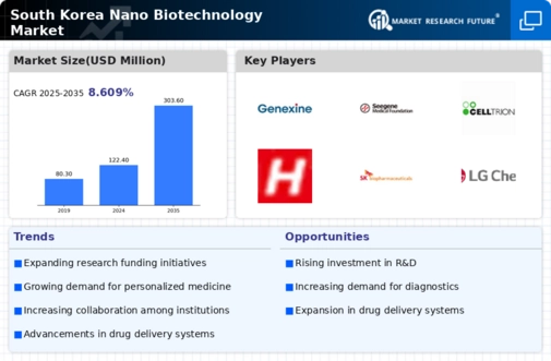 South Korea Nano Biotechnology Market Infographic