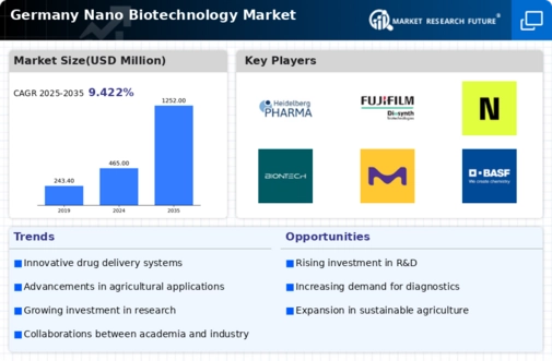 Germany Nano Biotechnology Market Infographic
