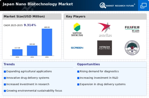 Japan Nano Biotechnology Market Infographic