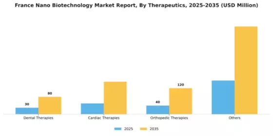France Nano Biotechnology Market Segment Image 1