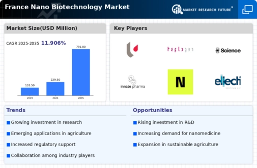 France Nano Biotechnology Market Infographic