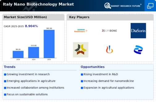 Italy Nano Biotechnology Market Infographic
