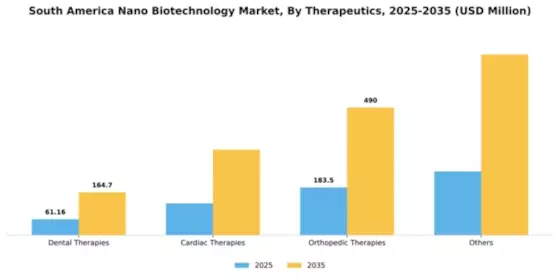 South America Nano Biotechnology Market Segment Image 1