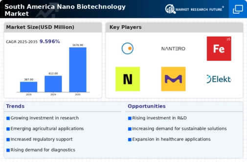 South America Nano Biotechnology Market Infographic