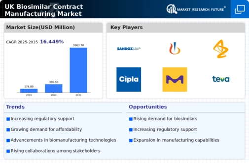 UK Biosimilar Contract Manufacturing Market Infographic