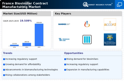 France Biosimilar Contract Manufacturing Market Infographic