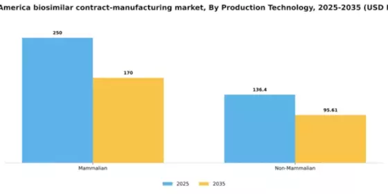 South America Biosimilar Contract Manufacturing Market Segment Image 2