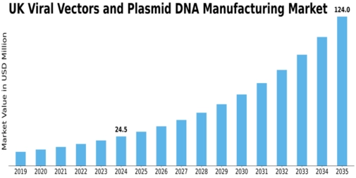 UK Viral Vectors Plasmid DNA Manufacturing Market Size