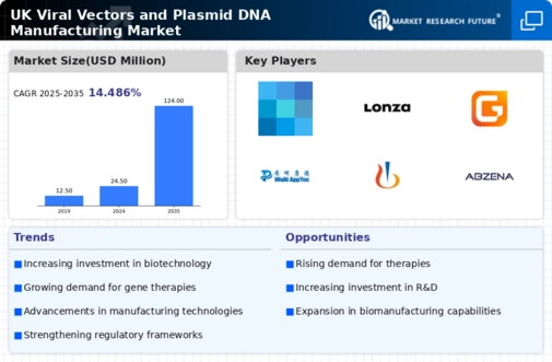 UK Viral Vectors Plasmid DNA Manufacturing Market Infographic