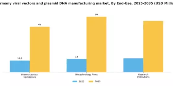 Germany Viral Vectors and Plasmid DNA Manufacturing Market Segment Image 1