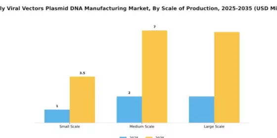 Italy Viral Vectors Plasmid DNA Manufacturing Market Segment Image 2