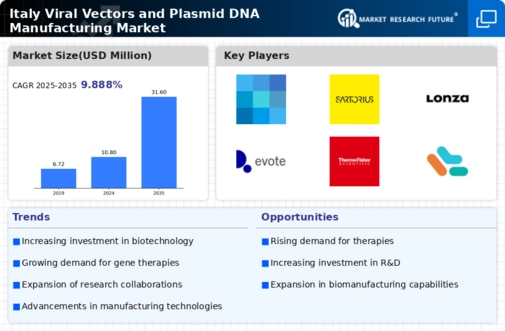 Italy Viral Vectors Plasmid DNA Manufacturing Market Infographic