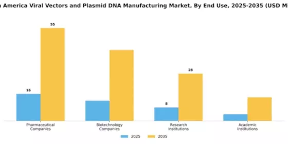 South America Viral Vectors Plasmid DNA Manufacturing Market Segment Image 1