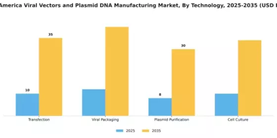 South America Viral Vectors Plasmid DNA Manufacturing Market Segment Image 3