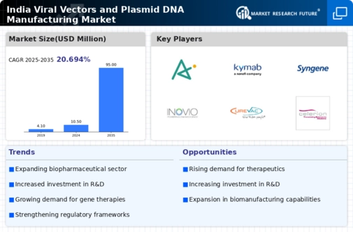 India Viral Vectors and Plasmid DNA Manufacturing Market Infographic
