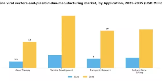 China Viral Vectors and Plasmid DNA Manufacturing Market Segment Image 0