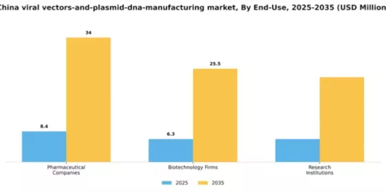 China Viral Vectors and Plasmid DNA Manufacturing Market Segment Image 1