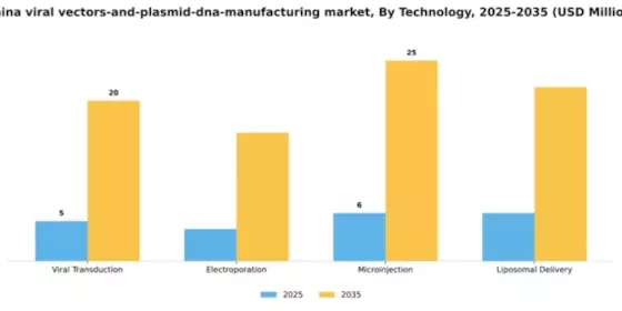 China Viral Vectors and Plasmid DNA Manufacturing Market Segment Image 2
