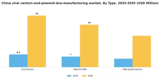 China Viral Vectors and Plasmid DNA Manufacturing Market Segment Image 3