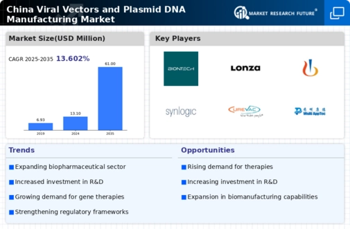China Viral Vectors and Plasmid DNA Manufacturing Market Infographic