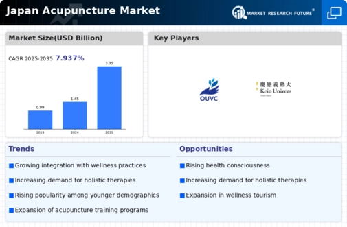Japan Acupuncture Market Infographic