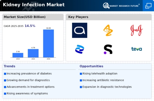 Kidney Infection Market Infographic