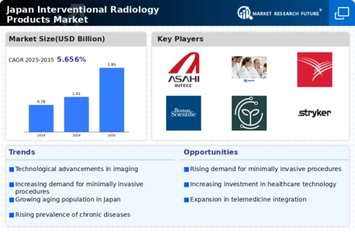 Japan Interventional Radiology Products Market Infographic