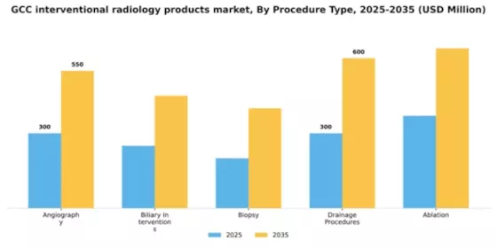 GCC Interventional Radiology Products Market Segment Image 2