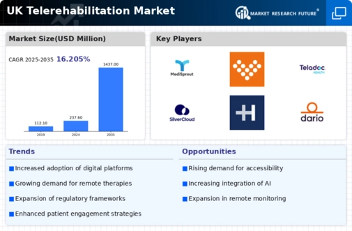 UK Telerehabilitation Market Infographic