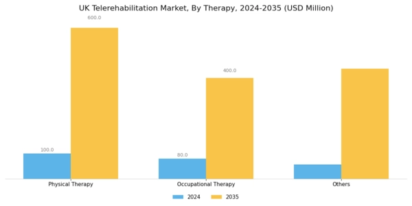 UK Telerehabilitation Market Segment Image 2