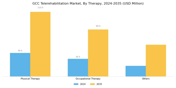 GCC Telerehabilitation Market Segment Image 2