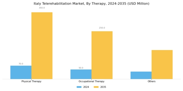 Italy Telerehabilitation Market Segment Image 2