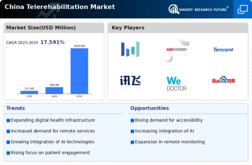 China Telerehabilitation Market Infographic