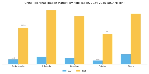 China Telerehabilitation Market Segment Image 3