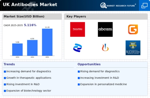 UK Antibodies Market Infographic