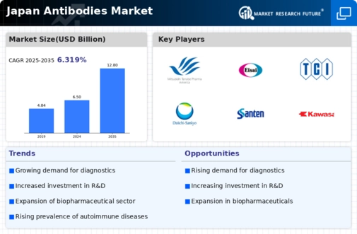Japan Antibodies Market Infographic