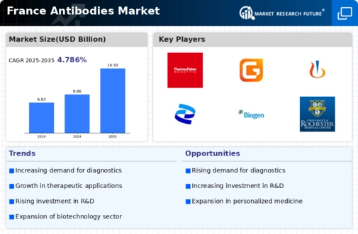 France Antibodies Market Infographic