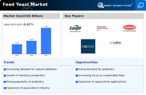 Feed Yeast Market Infographic